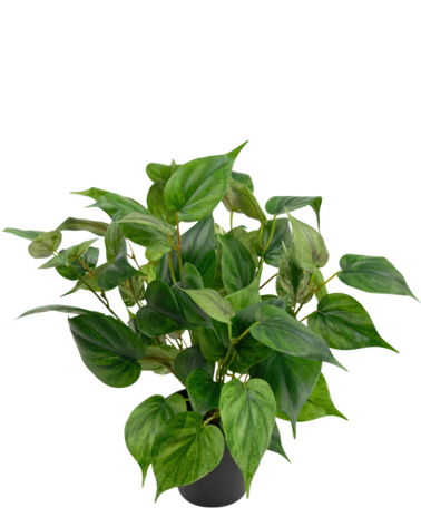 Greenmoods Kunstplant Philodendrion in pot 40 cm