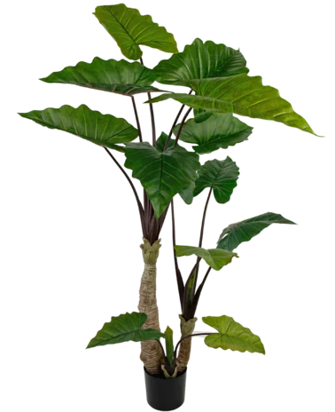 Greenmoods Kunstplant Calocasia 180 cm