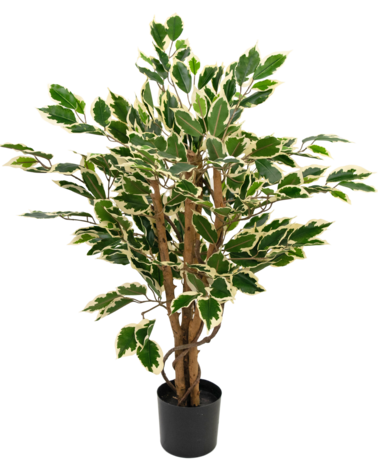 Greenmoods Kunstplant Ficus Groen/wit 90 cm