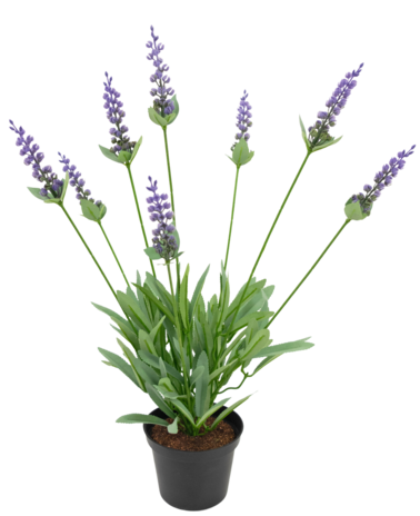 Greenmoods Kunstplant Lavendel 43 cm