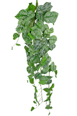 Greenmoods Kunst hangplant Scindapsus 90 cm