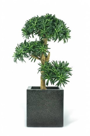 Kunstplant Podocarpus Bonsai 70 cm