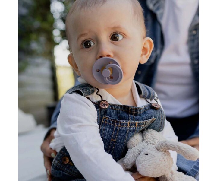 Colour 2 Pack - Fossil Grey/Mauve Pacifiers
