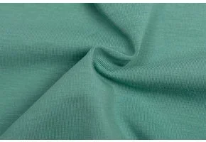 Organic Jersey Uni Old Green