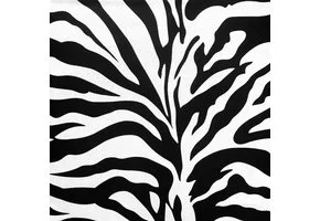 Katoen Zebra Black & White