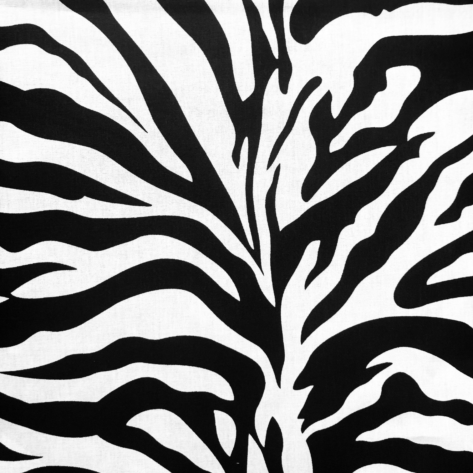 Katoen Zebra Black & White