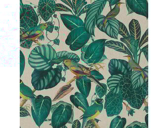 Linenlook Premium Calathea leaves