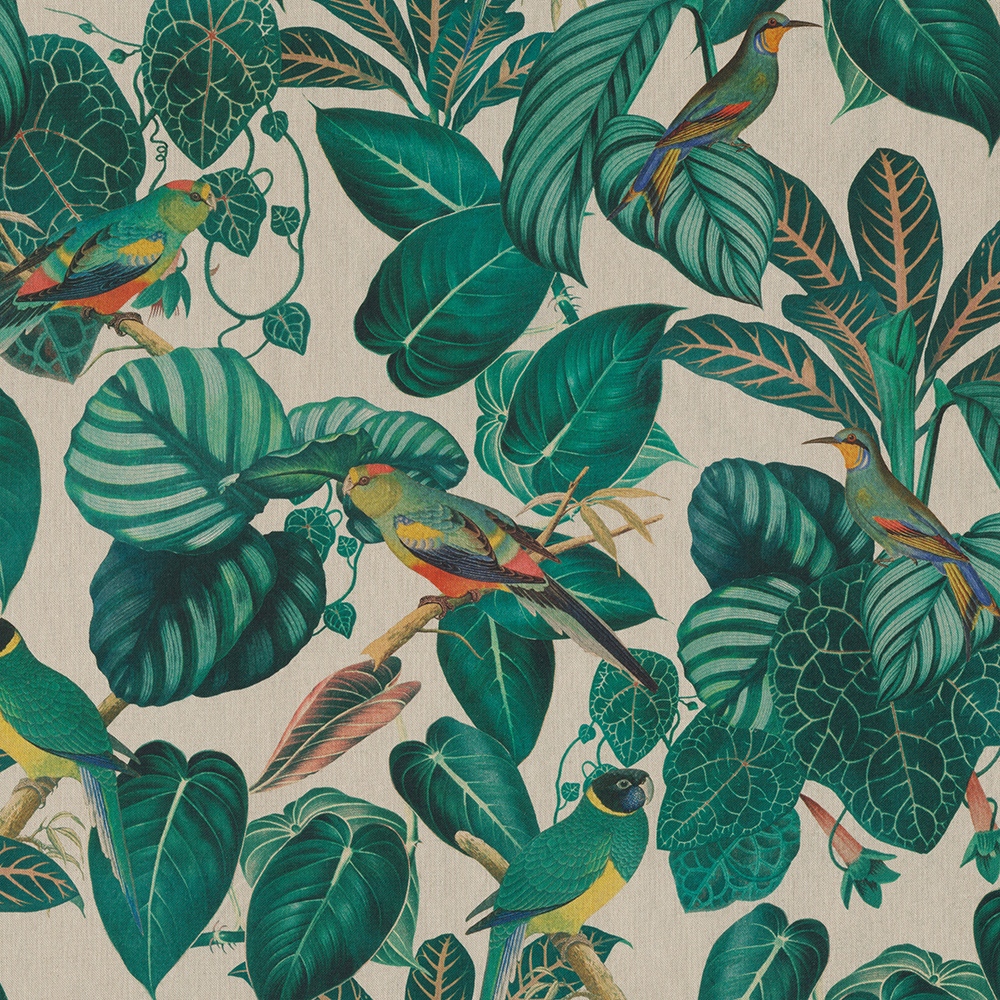 Linenlook Premium Calathea leaves