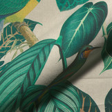 Linenlook Premium Calathea leaves