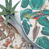 Linenlook Premium Calathea leaves