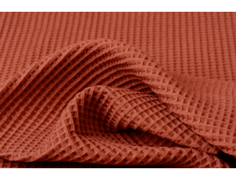 Wafel Katoen, Dusty Terra