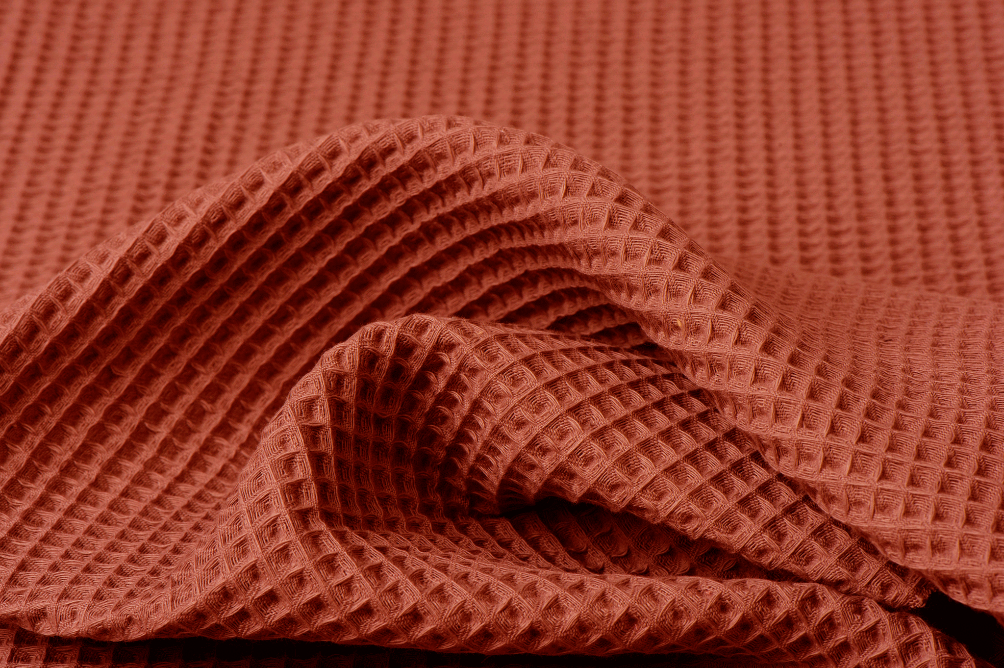 Wafel Katoen, Dusty Terra