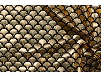 Lycra bedrukt met gouden schubben