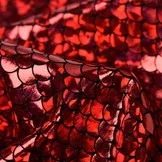 Lycra Bedrukt Met Kleine Schubben Rood