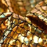 Lycra Bedrukt Met Kleine Schubben Goud