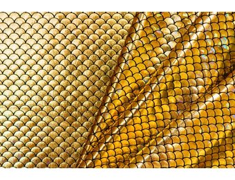 Lycra Bedrukt Met Kleine Schubben Goud