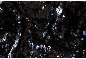 Pailletten de luxe zwart