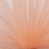 Sparkling Glamour Tule Abricot