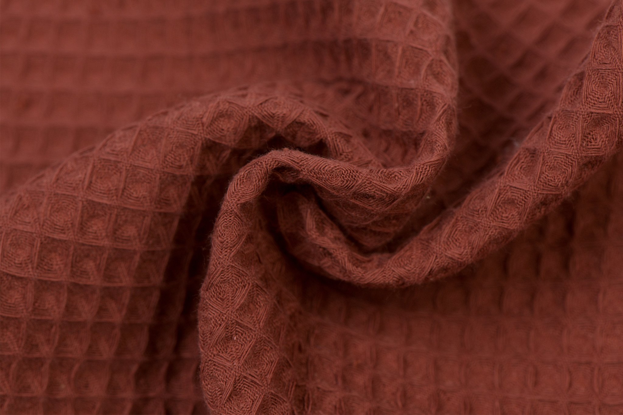 Wafel Katoen, Brique