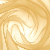 Organza Goud