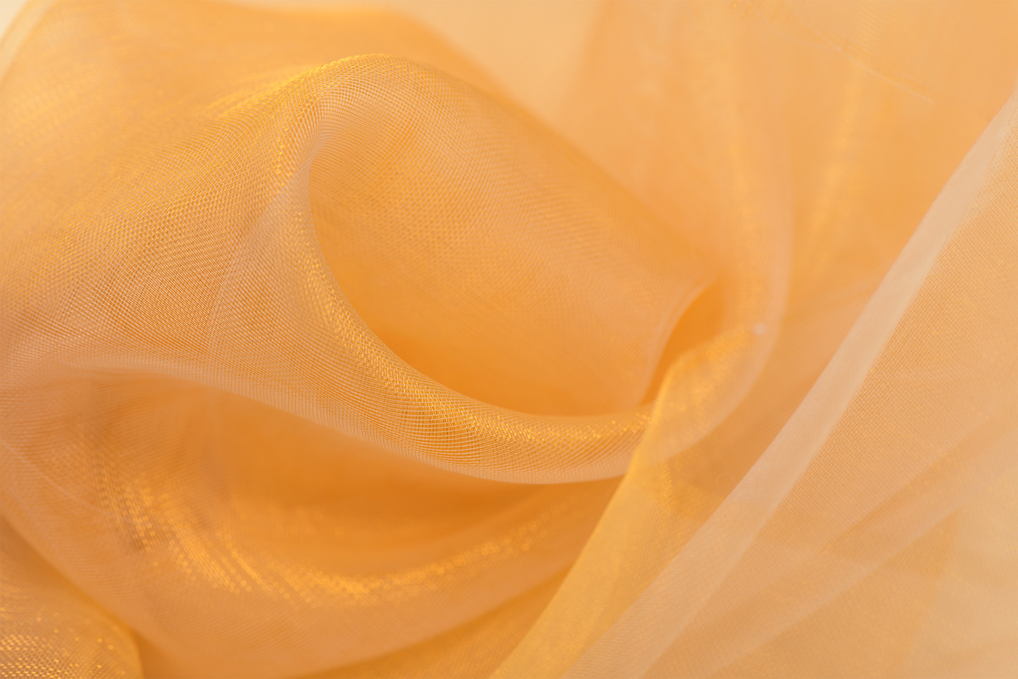 Organza Two-Tone Marigold