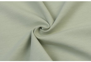 Organic Jersey Uni Salie Groen