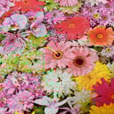 Decostof Fleurige Bloemen