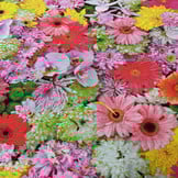 Decostof Fleurige Bloemen