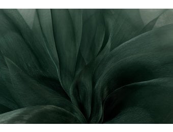 Organza Donkergroen