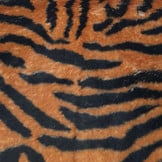 Imitatiebont Tijger Bruin