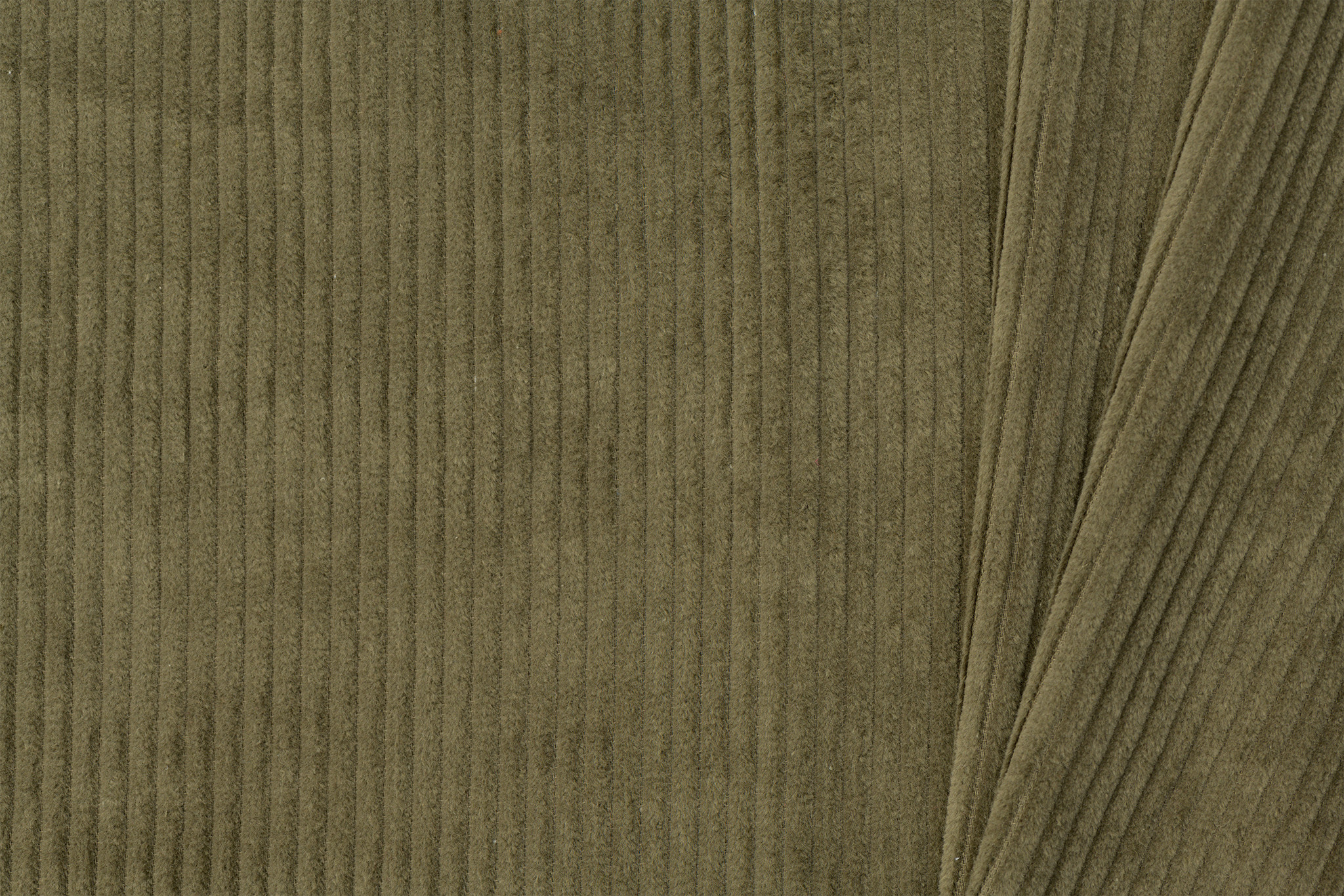Brede Ribcord Katoen Olijf
