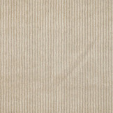 Ribcord Ponycor Uni Beige