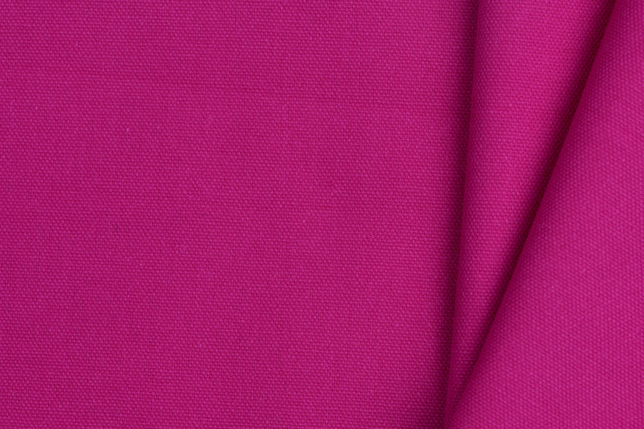 Canvas Fuchsia