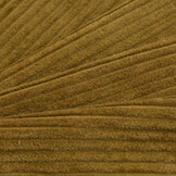 Brede Ribcord Katoen Olijfbruin