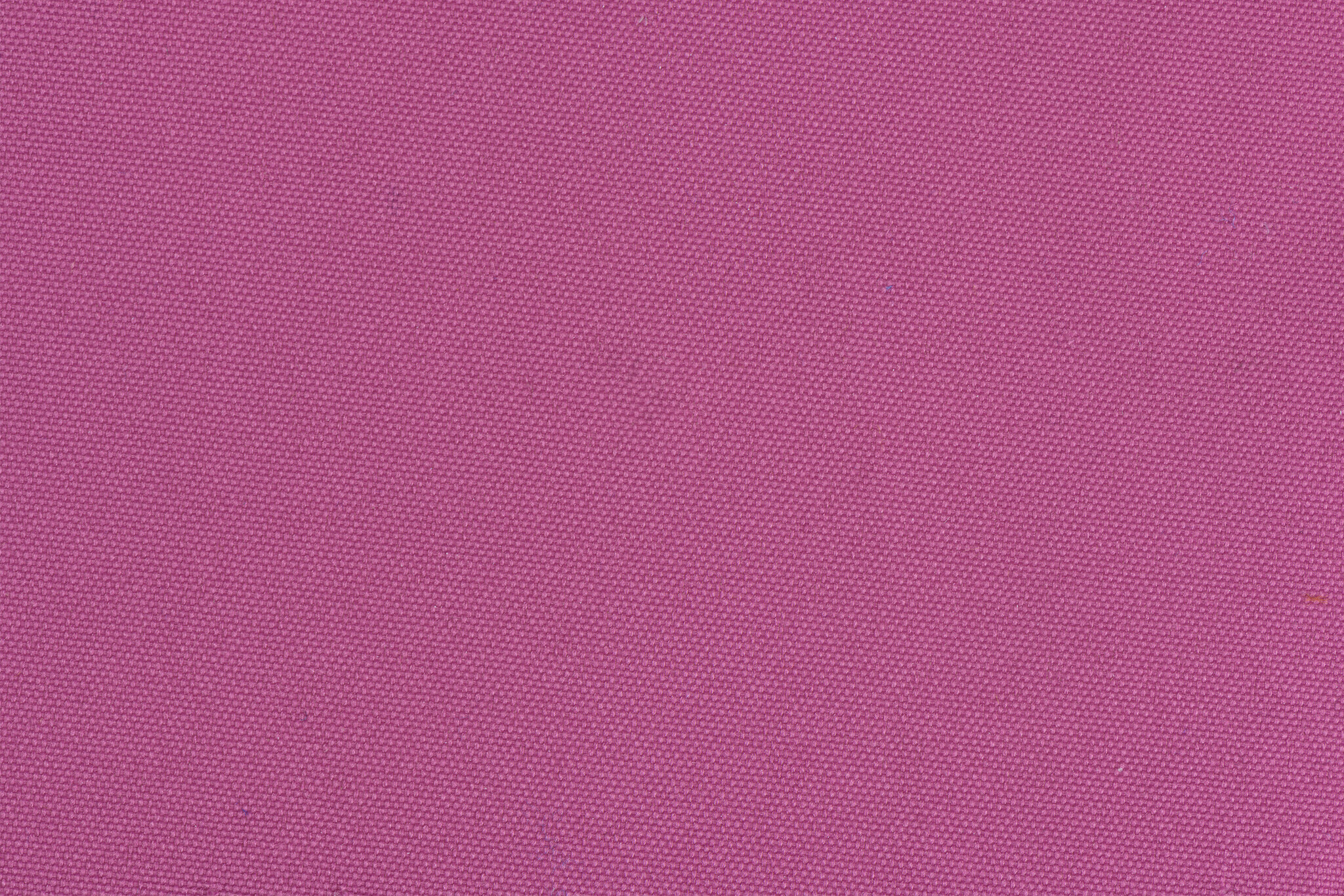 Burlington Brandvertragend 300 cm breed pink