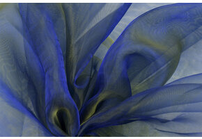 Organza Two-Tone Blauw-Geel