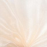 Organza Champagne