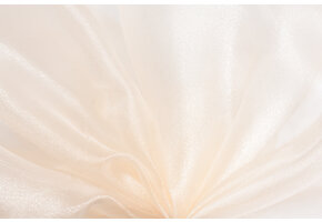 Organza Champagne