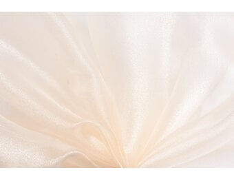 Organza Champagne