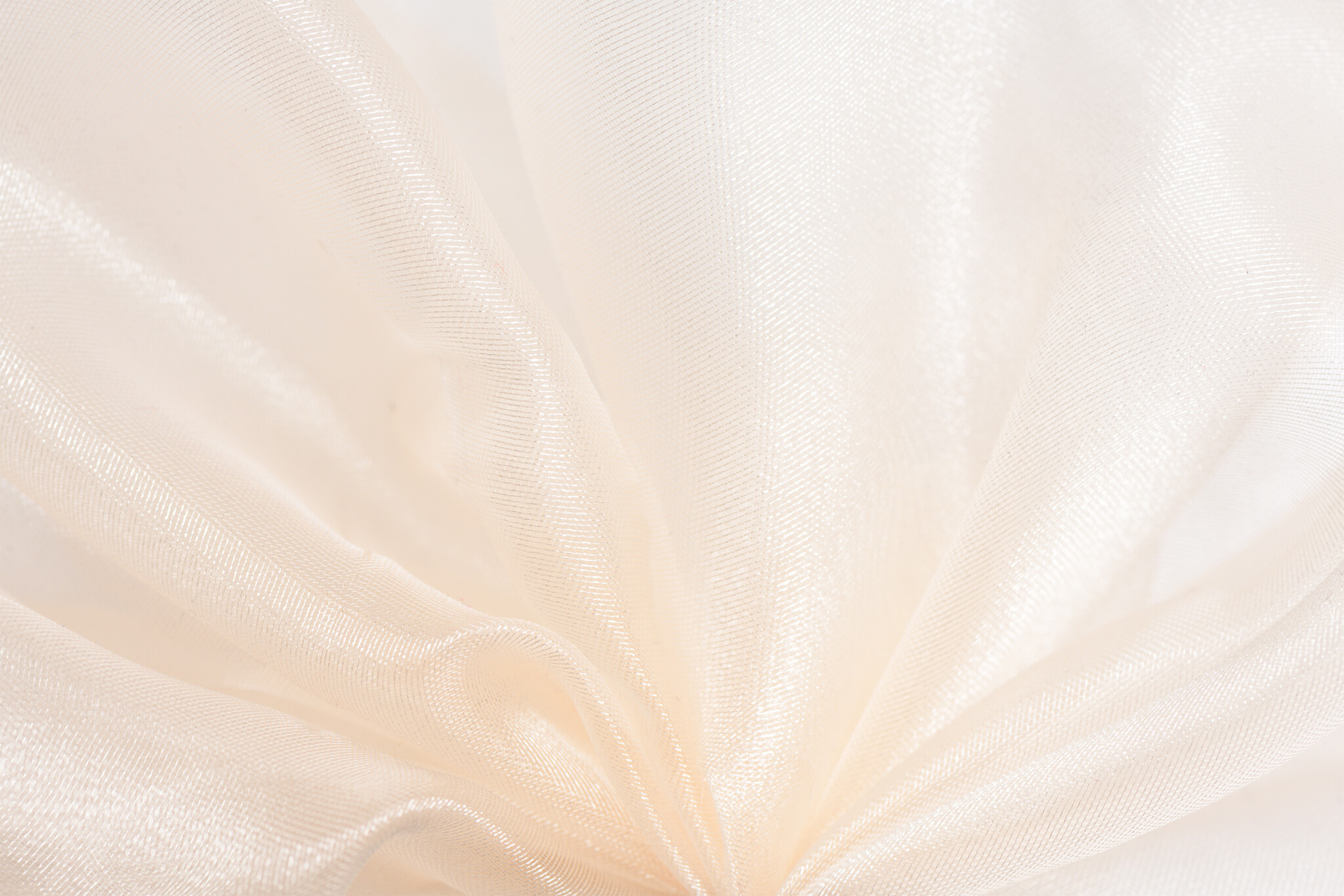 Organza Champagne