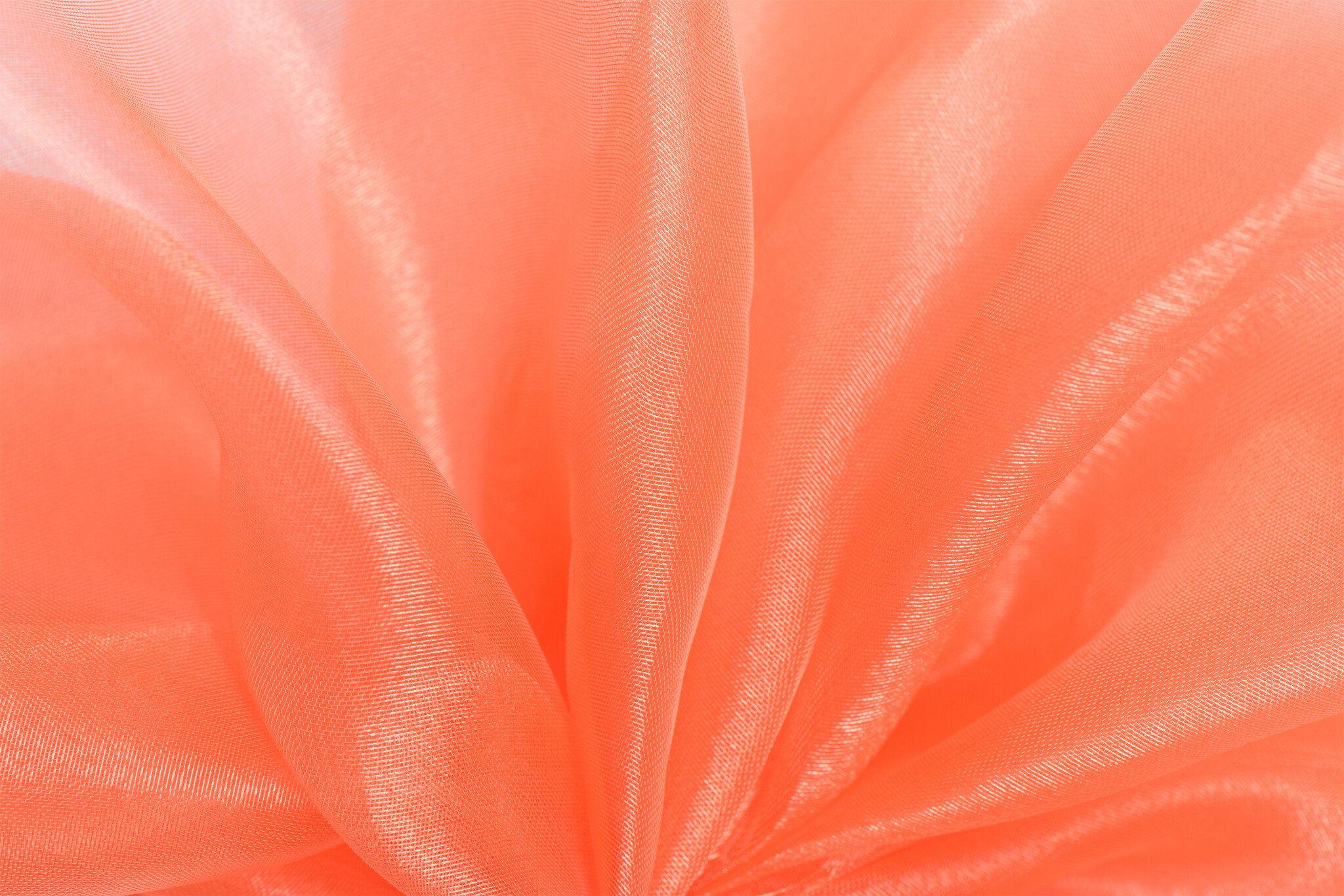 Organza Oranje