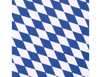 Terlenka Beierse Ruit Wit Blauw