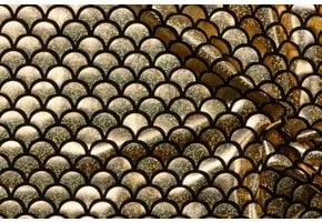 Lamé Stof Foliedruk Zeemeermin Goud