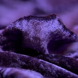 Velours de pannes uni donker paars
