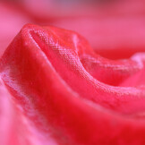 Velours De Panne Fluor Roze