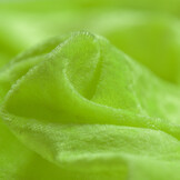 Velours De Panne Fluor Citroen Geel