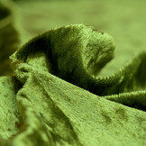 Velours de pannes uni mosgroen