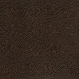 Old Flame Kunstleer Brown