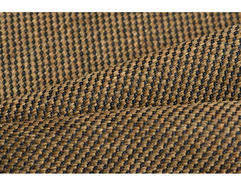 Celsius Cannoli Dark Cider