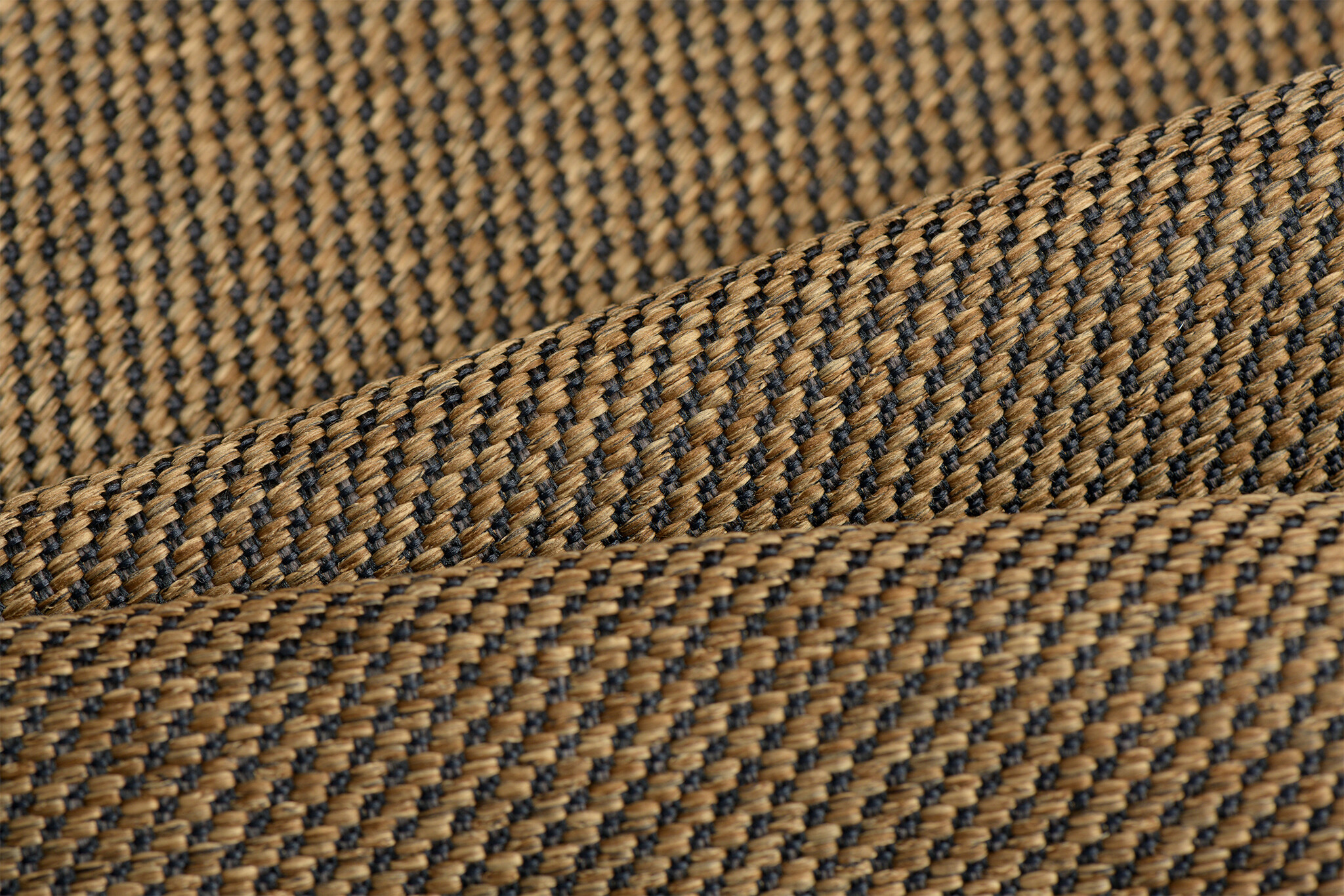 Celsius Cannoli Dark Cider